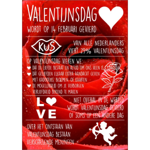 11062 Valentijn NL